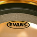 Evan Magee Photo 23