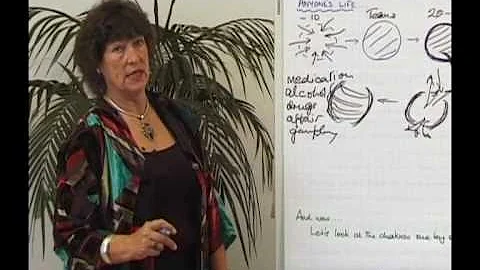 Brenda Davies Photo 33