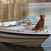 Haley Helms Photo 28
