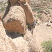 Kathy Hatfield Photo 40