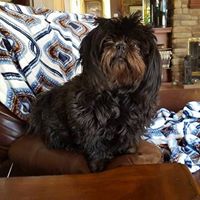 Carole Robbins Photo 4