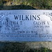 Calvin Wilkins Photo 31