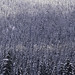 Steven Range Photo 21