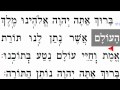 Brian Shamash Photo 2