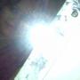 Elizabeth Paulino Photo 22