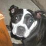 Matthew Whitford Photo 16