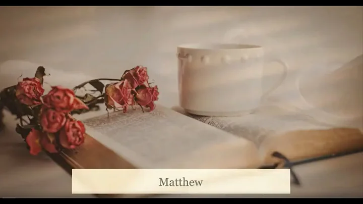 Matthew Main Photo 26