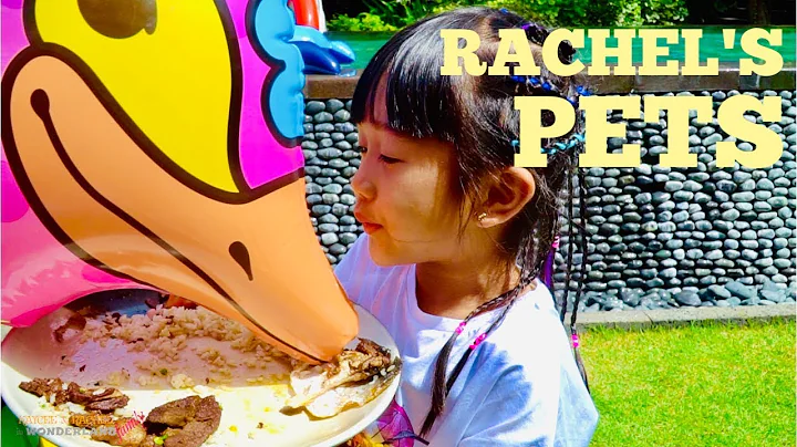 Rachel Hass Photo 19