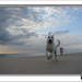 Dawn Berger Photo 27
