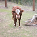 Connie Keen Photo 28