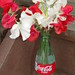 Jeannette Colas Photo 6