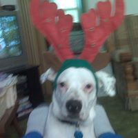 Allen Oakley Photo 6