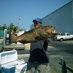 Travis Allman Photo 3