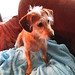 Eddie Combs Photo 32