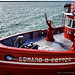 Elizabeth Cotter Photo 46