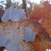 Rusty Cooper Photo 35