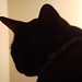 Buddy Stokes Photo 25