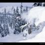 John Macgillivray Photo 22