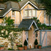 Terra Hampton Photo 19
