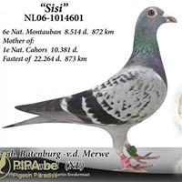 Abbas Saad Photo 2