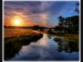 Mark Ritter Photo 39