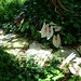 Carolyn Stone Photo 37