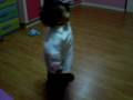 Jason Canlas Photo 22