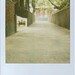 Mark Kinman Photo 19