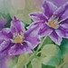 Janet Whittle Photo 31
