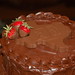 Amy Trammel Photo 12