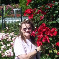Darlene Wolfe Photo 3
