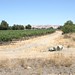 Jeffrey Livermore Photo 15