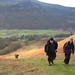 Roger Pike Photo 33