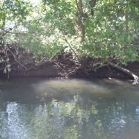 Donnie Mcelroy Photo 1