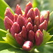 Daphne Winters Photo 15