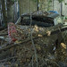 Christine Roach Photo 34