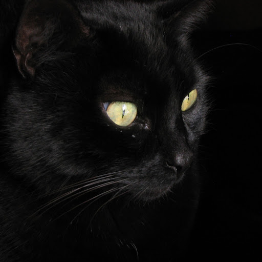 Christopher Crow Photo 10