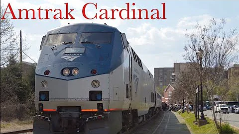 Virginia Cardinal Photo 9
