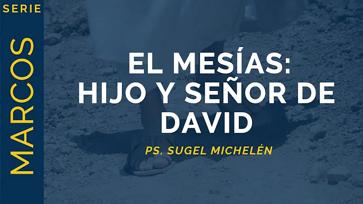 David Marcos Photo 31