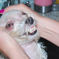 Zoe Sweet Photo 2