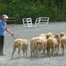 Mark Starkey Photo 34