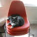 Jessica Eames Photo 24