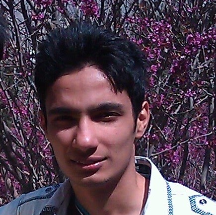 Alireza Ahmadi Photo 13