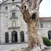 Theresa Espana Photo 16