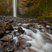Betty Fall Photo 18