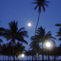 Adam Comstock Photo 7