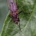 Michael Coons Photo 36