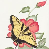 Linda Kidd Photo 2