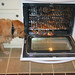 Bob Cook Photo 49