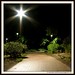 Robert Cuthill Photo 18